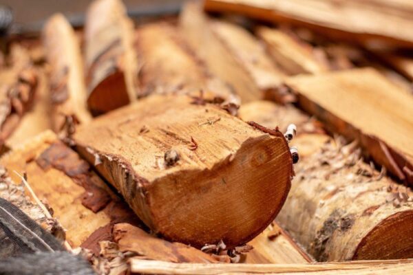 Kiln Dried BC Yellow Birch Firewood
